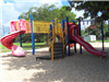 Playground under a tree
