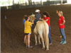 Employees help child on a horse