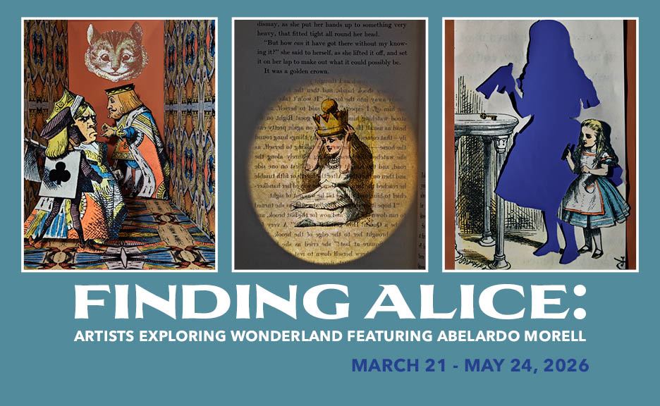 FindingAliceTVGraphic